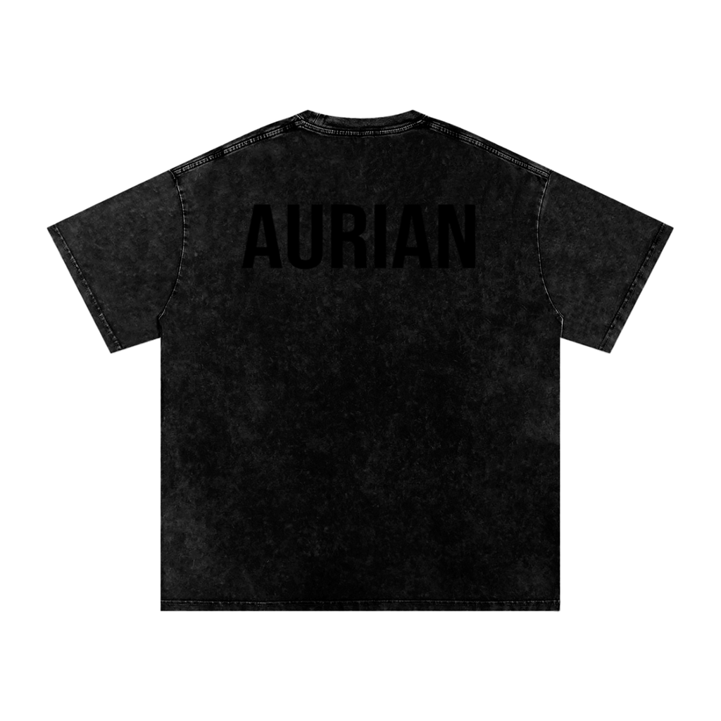 Aurian Snow Washed Oversized Cotton T-Shirt